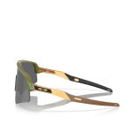 Oakley Sutro Lite Sweep - fern spacedust/prizm black, #3
