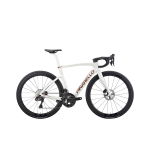 ALABASTER WHITE SHINY