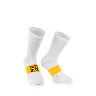  Spring Fall Socks EVO