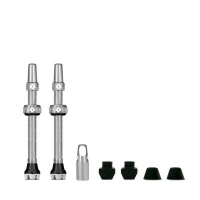  Tubeless Valve Kit V2 / MTB & Road 