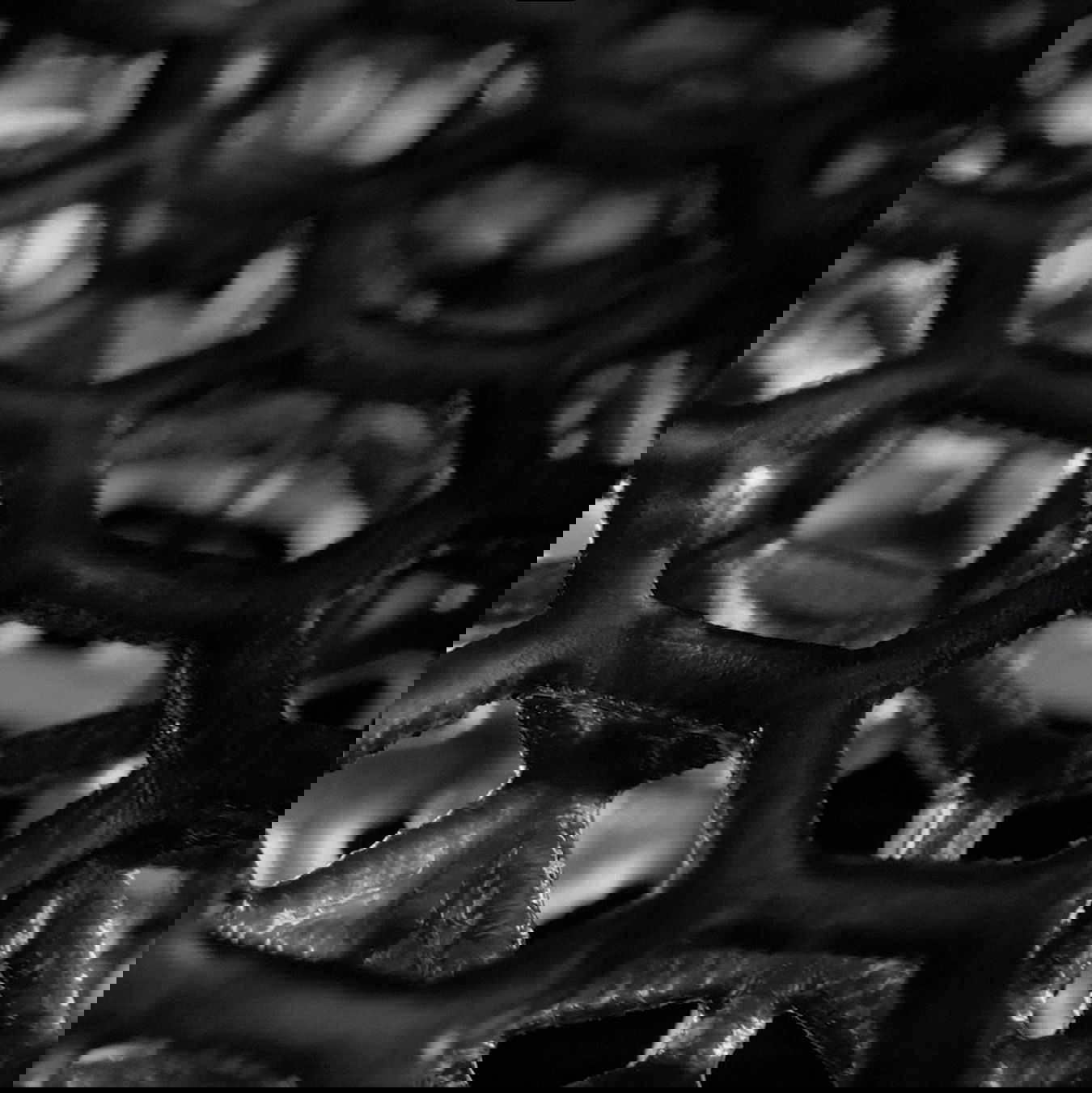 LAB TESTED, ROAD PROVEN