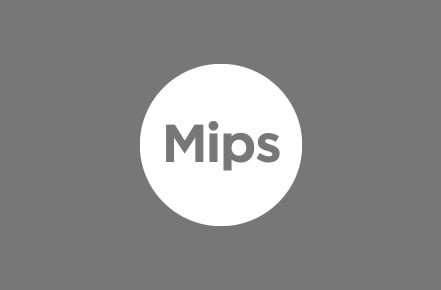 <strong>MIPS&reg; BRAIN PROTECTION SYSTEM</strong>