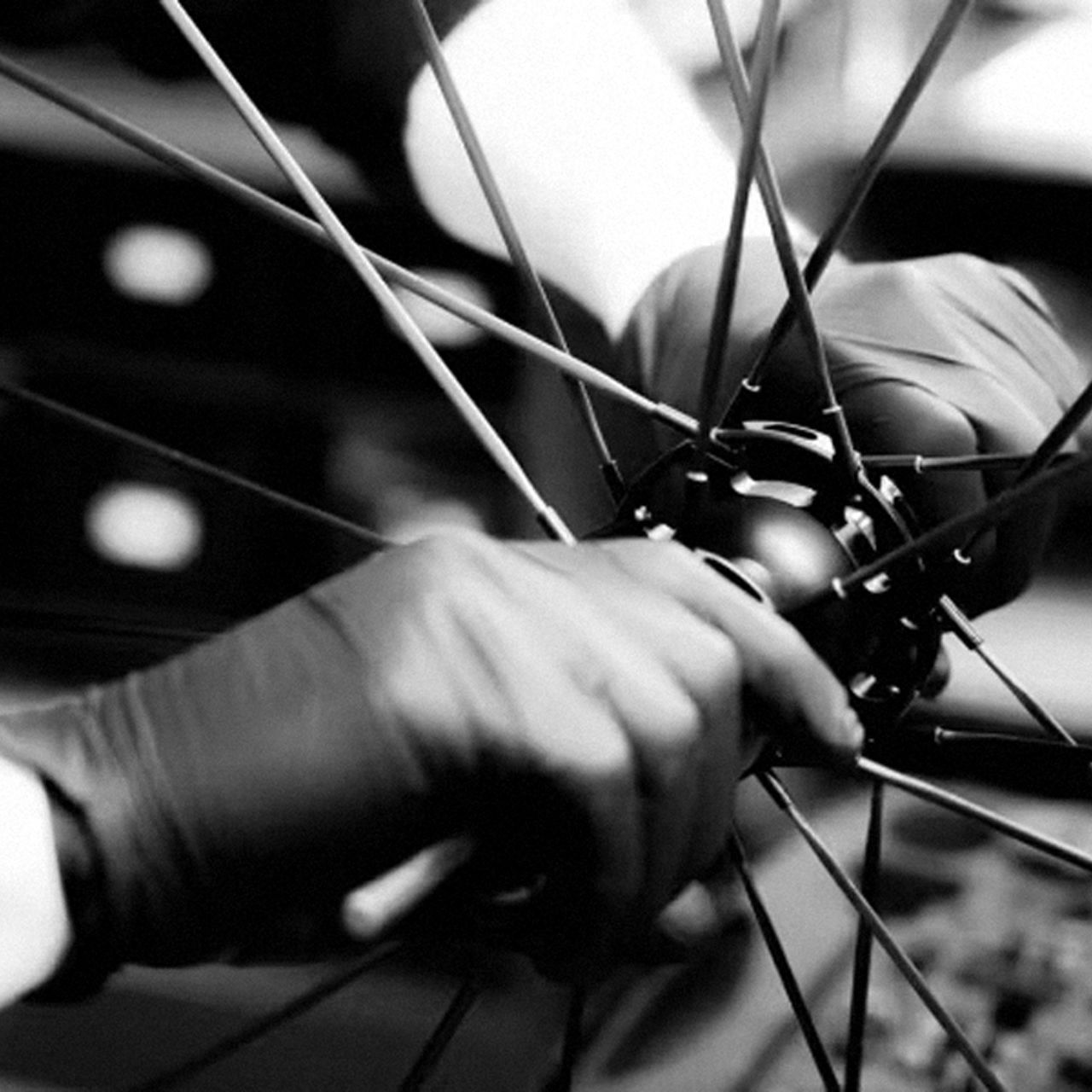 Polymer&reg; Workshop