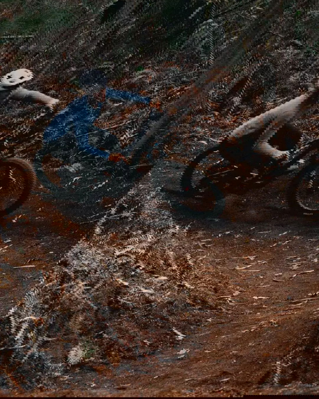 Grip, Stabilit&auml;t und Souver&auml;nit&auml;t in der Kurve